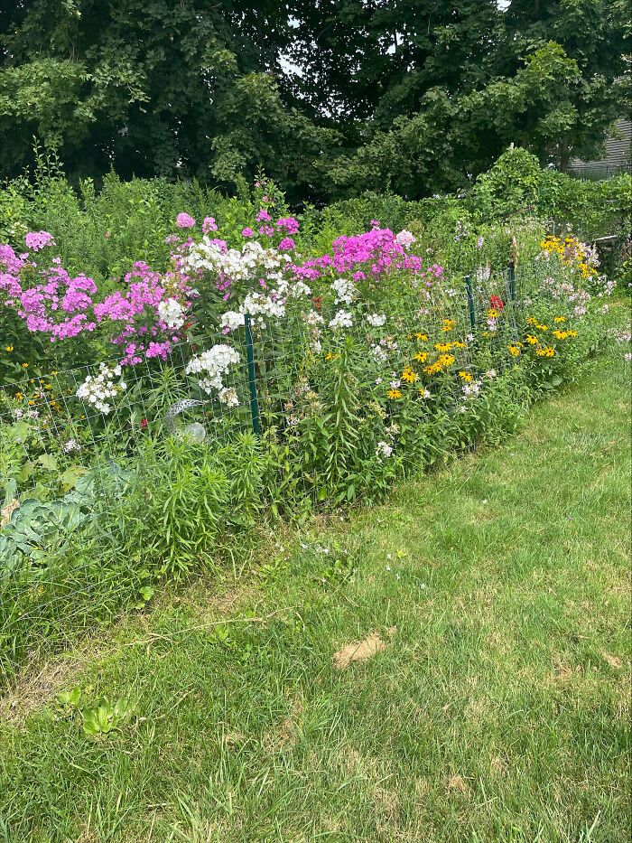 Hey Pandas, Share A Picture Of Your Perfect Weekend (Closed) Hey Pandas, Share A Picture Of Your Perfect Weekend (Closed)