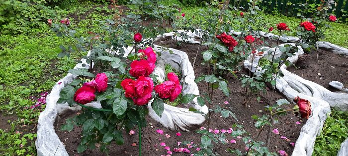 Hey Pandas, Share A Picture Of Your Perfect Weekend (Closed) Hey Pandas, Share A Picture Of Your Perfect Weekend (Closed)