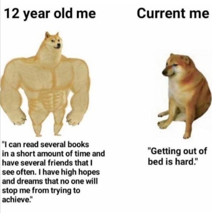 Hey Pandas, Post Memes Featuring Cheems To Pay Homage To The Meme Legend