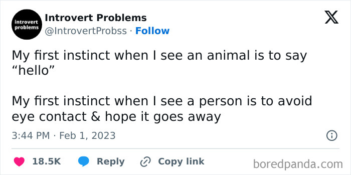 50 Painfully Relatable &ldquo;Sarcasm Only&rdquo; Memes To Enjoy While Things Fall Apart (New Pics)