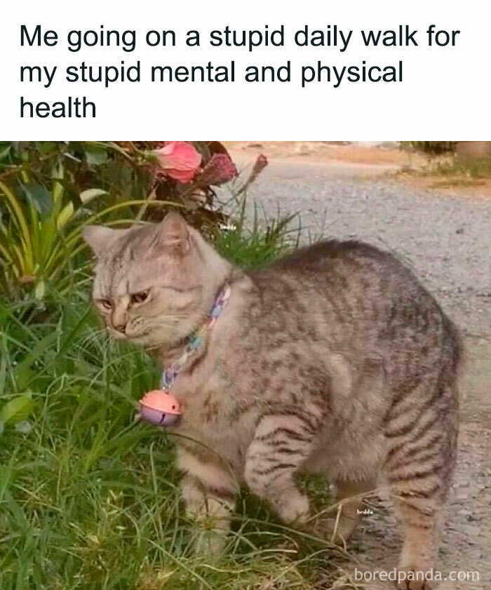 50 Painfully Relatable &ldquo;Sarcasm Only&rdquo; Memes To Enjoy While Things Fall Apart (New Pics)