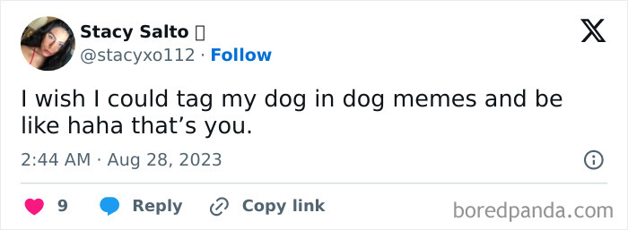 50 Painfully Relatable &ldquo;Sarcasm Only&rdquo; Memes To Enjoy While Things Fall Apart (New Pics)