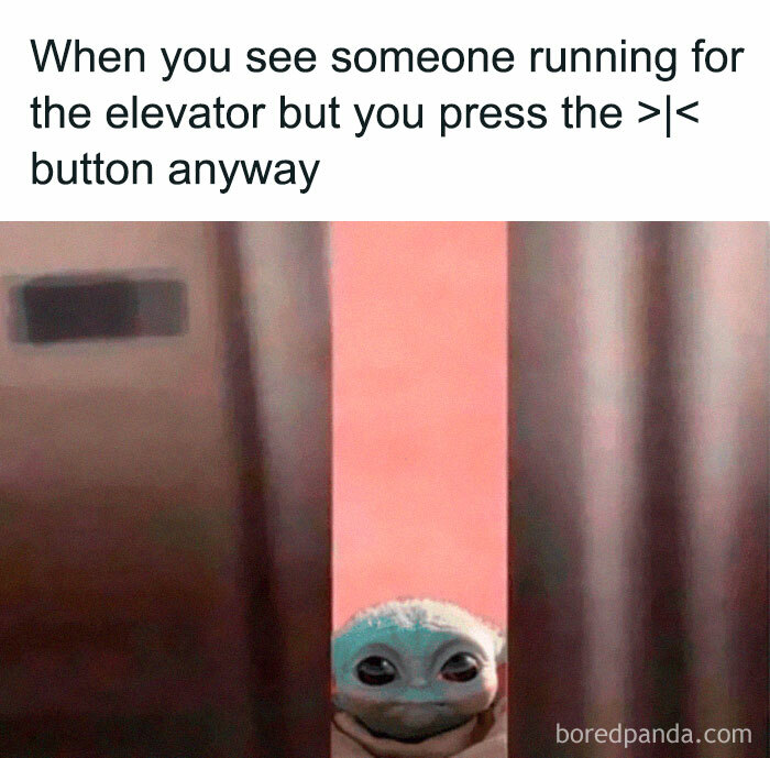 50 Painfully Relatable &ldquo;Sarcasm Only&rdquo; Memes To Enjoy While Things Fall Apart (New Pics)