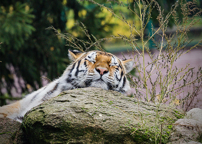 45 Hard-To-Believe Facts That Make People Reevaluate Their View Of The World 45 Hard-To-Believe Facts That Make People Reevaluate Their View Of The World