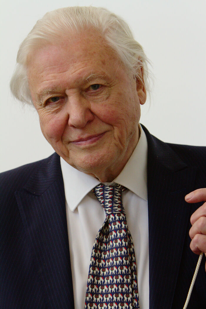 Nature Documentary Fans Are Excited To Hear 97 Y.O. David Attenborough Is Making A Return On BBC Nature Documentary Fans Are Excited To Hear 97 Y.O. David Attenborough Is Making A Return On BBC