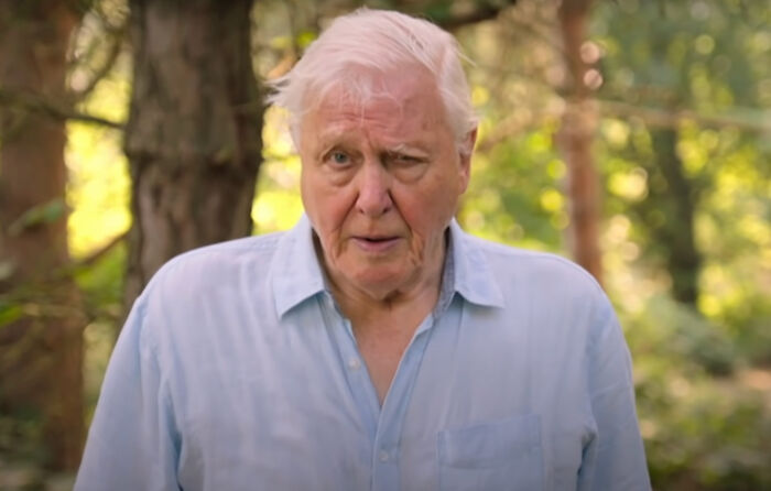 Nature Documentary Fans Are Excited To Hear 97 Y.O. David Attenborough Is Making A Return On BBC Nature Documentary Fans Are Excited To Hear 97 Y.O. David Attenborough Is Making A Return On BBC