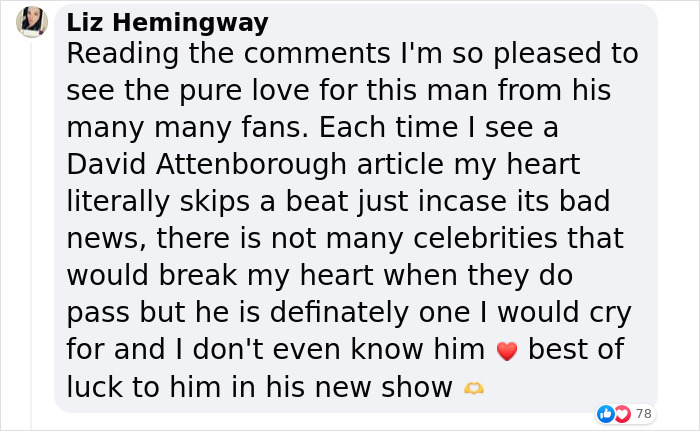 Nature Documentary Fans Are Excited To Hear 97 Y.O. David Attenborough Is Making A Return On BBC Nature Documentary Fans Are Excited To Hear 97 Y.O. David Attenborough Is Making A Return On BBC