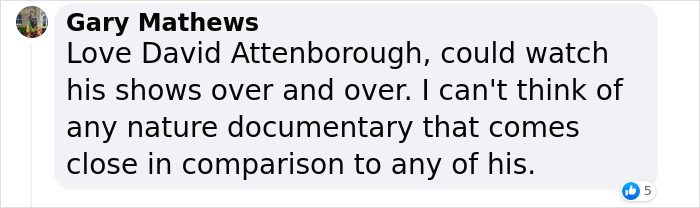 Nature Documentary Fans Are Excited To Hear 97 Y.O. David Attenborough Is Making A Return On BBC Nature Documentary Fans Are Excited To Hear 97 Y.O. David Attenborough Is Making A Return On BBC