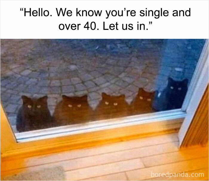 50 Weird Memes That Verge On Being Unhinged 50 Weird Memes That Verge On Being Unhinged