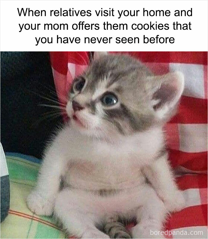 50 Weird Memes That Verge On Being Unhinged 50 Weird Memes That Verge On Being Unhinged