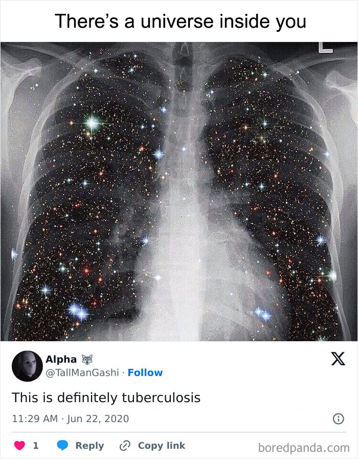 50 Weird Memes That Verge On Being Unhinged 50 Weird Memes That Verge On Being Unhinged