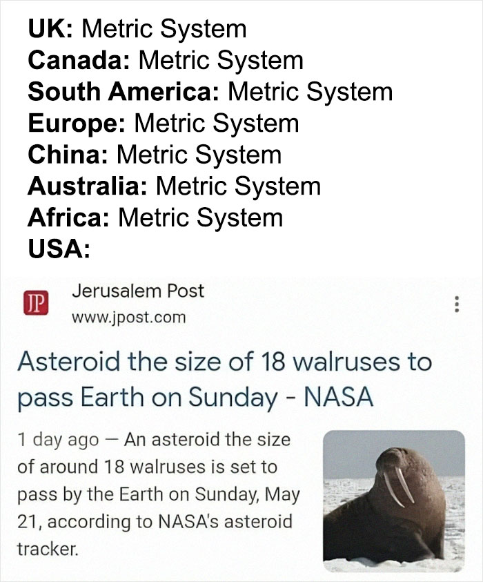 50 Weird Memes That Verge On Being Unhinged 50 Weird Memes That Verge On Being Unhinged