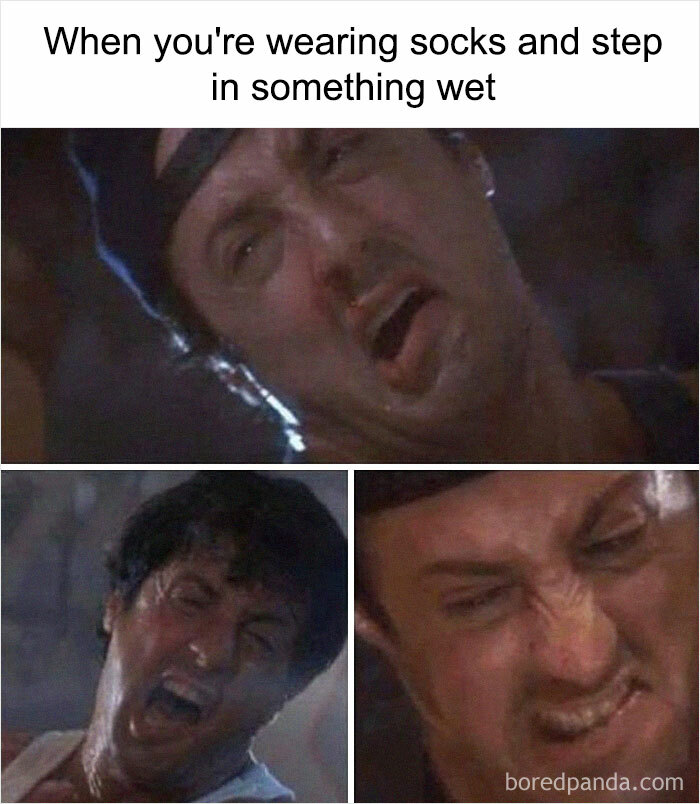 50 Weird Memes That Verge On Being Unhinged 50 Weird Memes That Verge On Being Unhinged