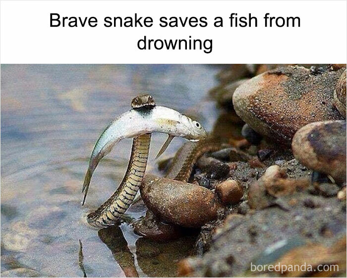 50 Weird Memes That Verge On Being Unhinged 50 Weird Memes That Verge On Being Unhinged