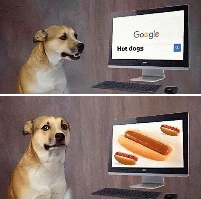 50 Weird Memes That Verge On Being Unhinged 50 Weird Memes That Verge On Being Unhinged