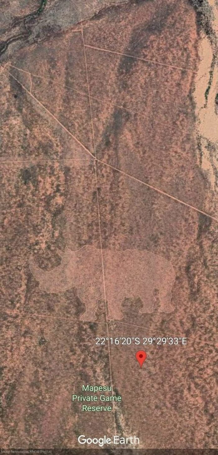 30 Times People Found Such Strange Things On Google Earth, They Just Had To Share Them