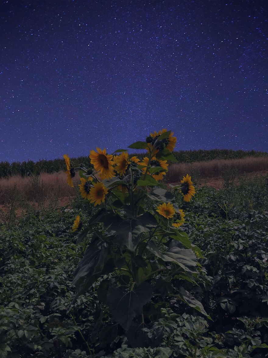 I Photographed This Ukrainian Village Because It Is My Solace That Inspires Me (30 pics) I Photographed This Ukrainian Village Because It Is My Solace That Inspires Me (30 pics)