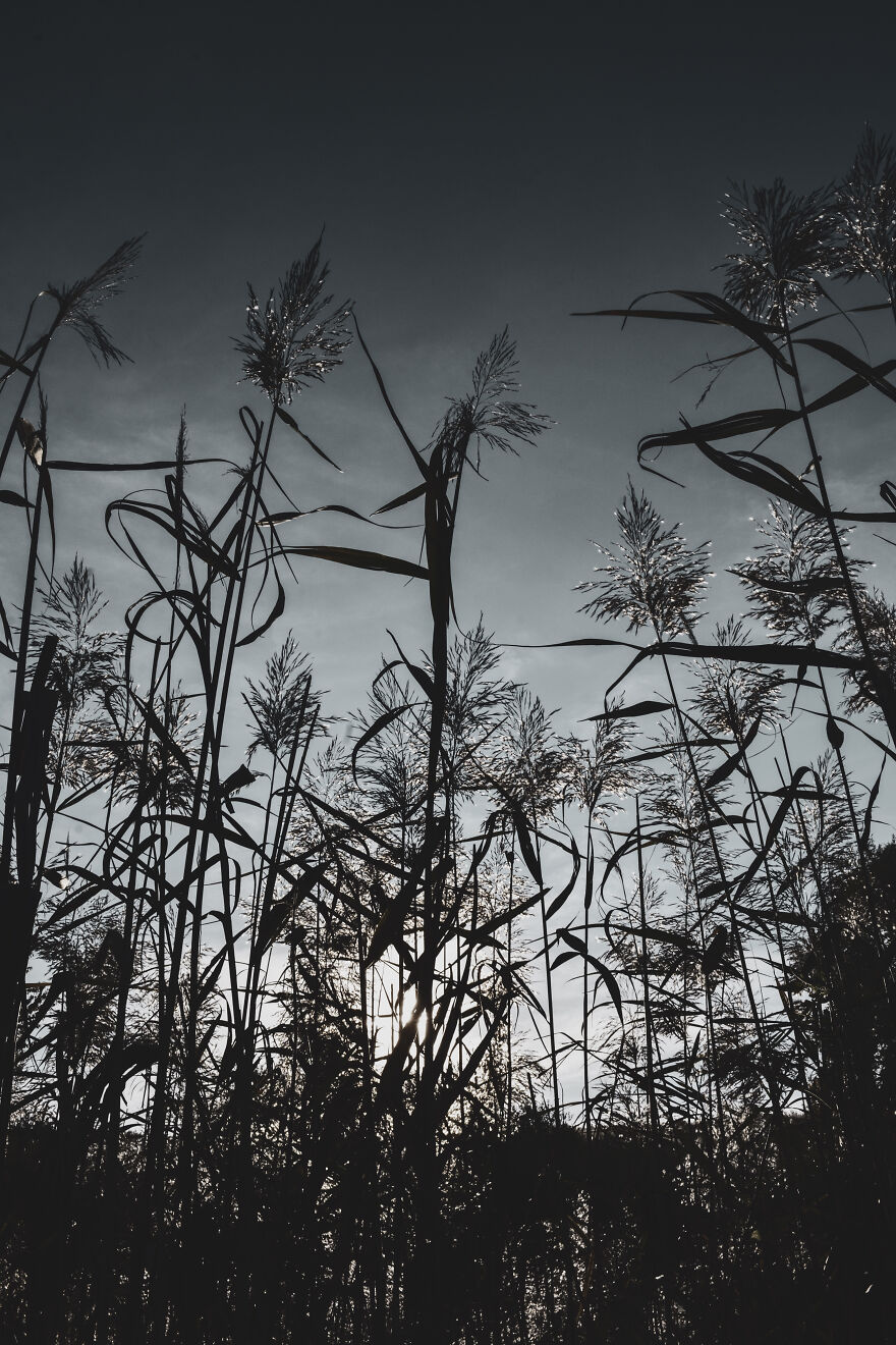 I Photographed This Ukrainian Village Because It Is My Solace That Inspires Me (30 pics) I Photographed This Ukrainian Village Because It Is My Solace That Inspires Me (30 pics)