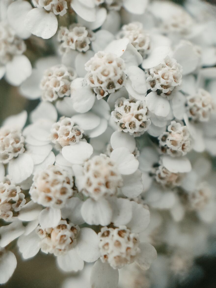 I Photographed This Ukrainian Village Because It Is My Solace That Inspires Me (30 pics) I Photographed This Ukrainian Village Because It Is My Solace That Inspires Me (30 pics)