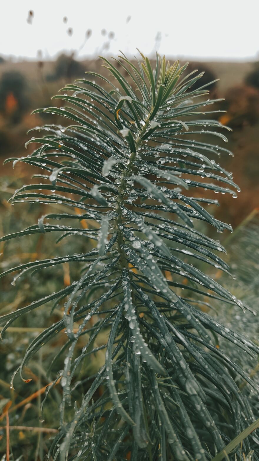 I Photographed This Ukrainian Village Because It Is My Solace That Inspires Me (30 pics) I Photographed This Ukrainian Village Because It Is My Solace That Inspires Me (30 pics)