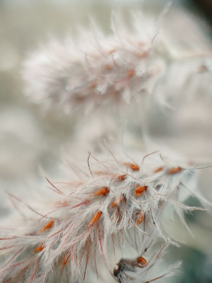 I Photographed This Ukrainian Village Because It Is My Solace That Inspires Me (30 pics) I Photographed This Ukrainian Village Because It Is My Solace That Inspires Me (30 pics)