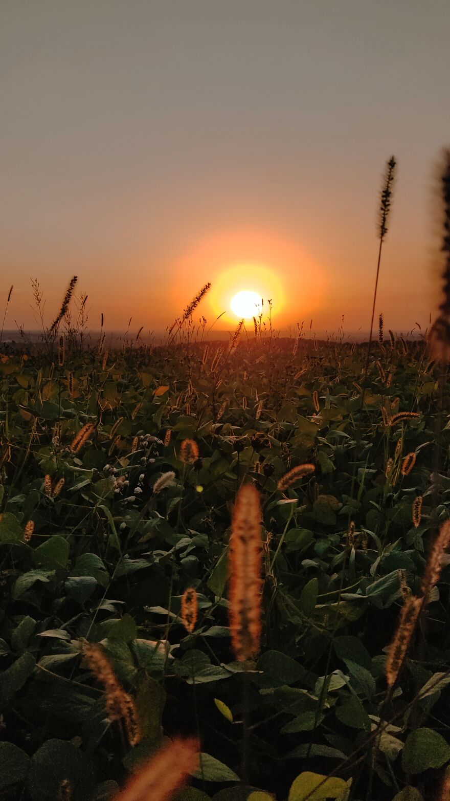 I Photographed This Ukrainian Village Because It Is My Solace That Inspires Me (30 pics) I Photographed This Ukrainian Village Because It Is My Solace That Inspires Me (30 pics)