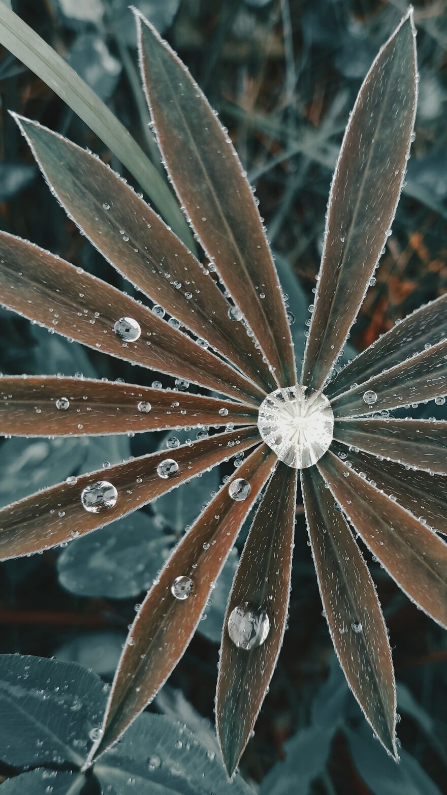 I Photographed This Ukrainian Village Because It Is My Solace That Inspires Me (30 pics) I Photographed This Ukrainian Village Because It Is My Solace That Inspires Me (30 pics)