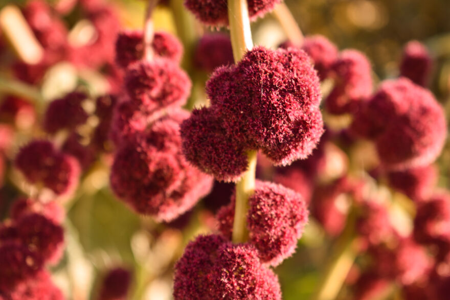 I Photographed This Ukrainian Village Because It Is My Solace That Inspires Me (30 pics) I Photographed This Ukrainian Village Because It Is My Solace That Inspires Me (30 pics)