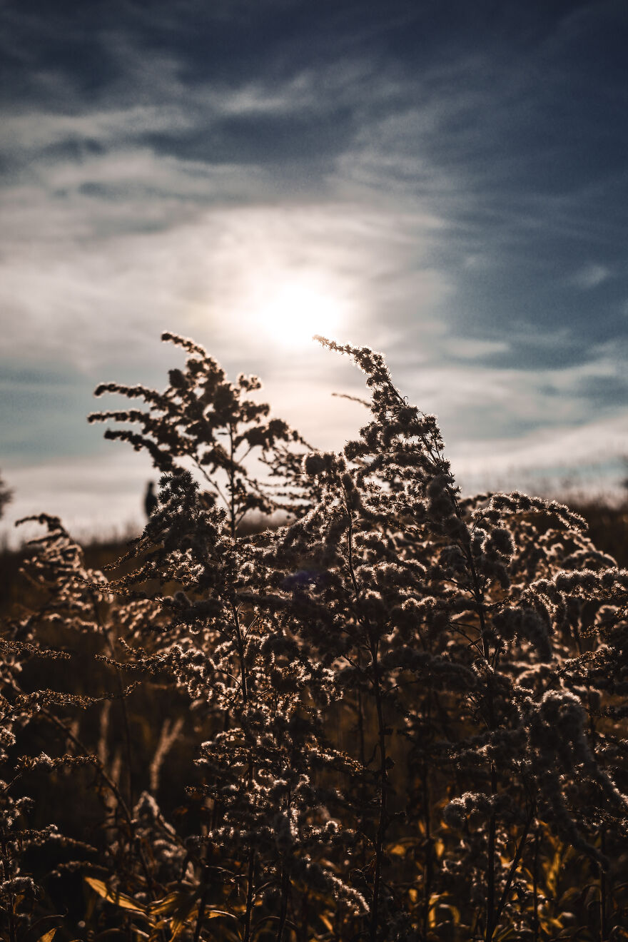 I Photographed This Ukrainian Village Because It Is My Solace That Inspires Me (30 pics) I Photographed This Ukrainian Village Because It Is My Solace That Inspires Me (30 pics)