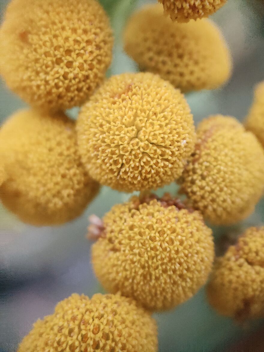 I Photographed This Ukrainian Village Because It Is My Solace That Inspires Me (30 pics) I Photographed This Ukrainian Village Because It Is My Solace That Inspires Me (30 pics)