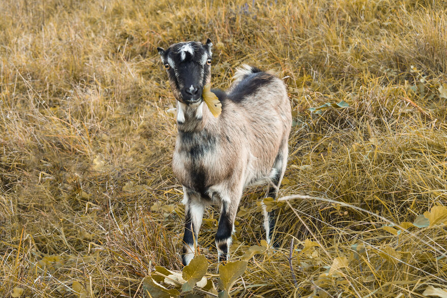 I Photographed This Ukrainian Village Because It Is My Solace That Inspires Me (30 pics) I Photographed This Ukrainian Village Because It Is My Solace That Inspires Me (30 pics)