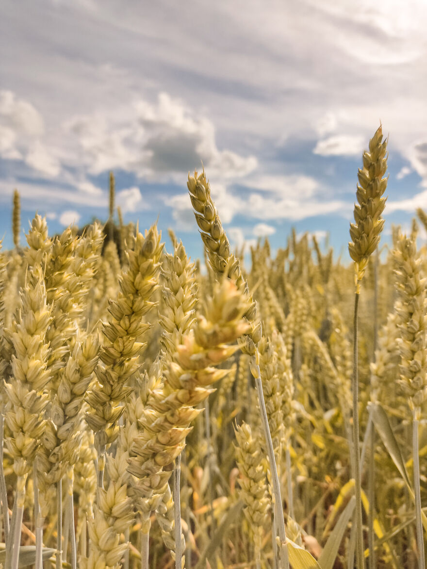 I Photographed This Ukrainian Village Because It Is My Solace That Inspires Me (30 pics) I Photographed This Ukrainian Village Because It Is My Solace That Inspires Me (30 pics)