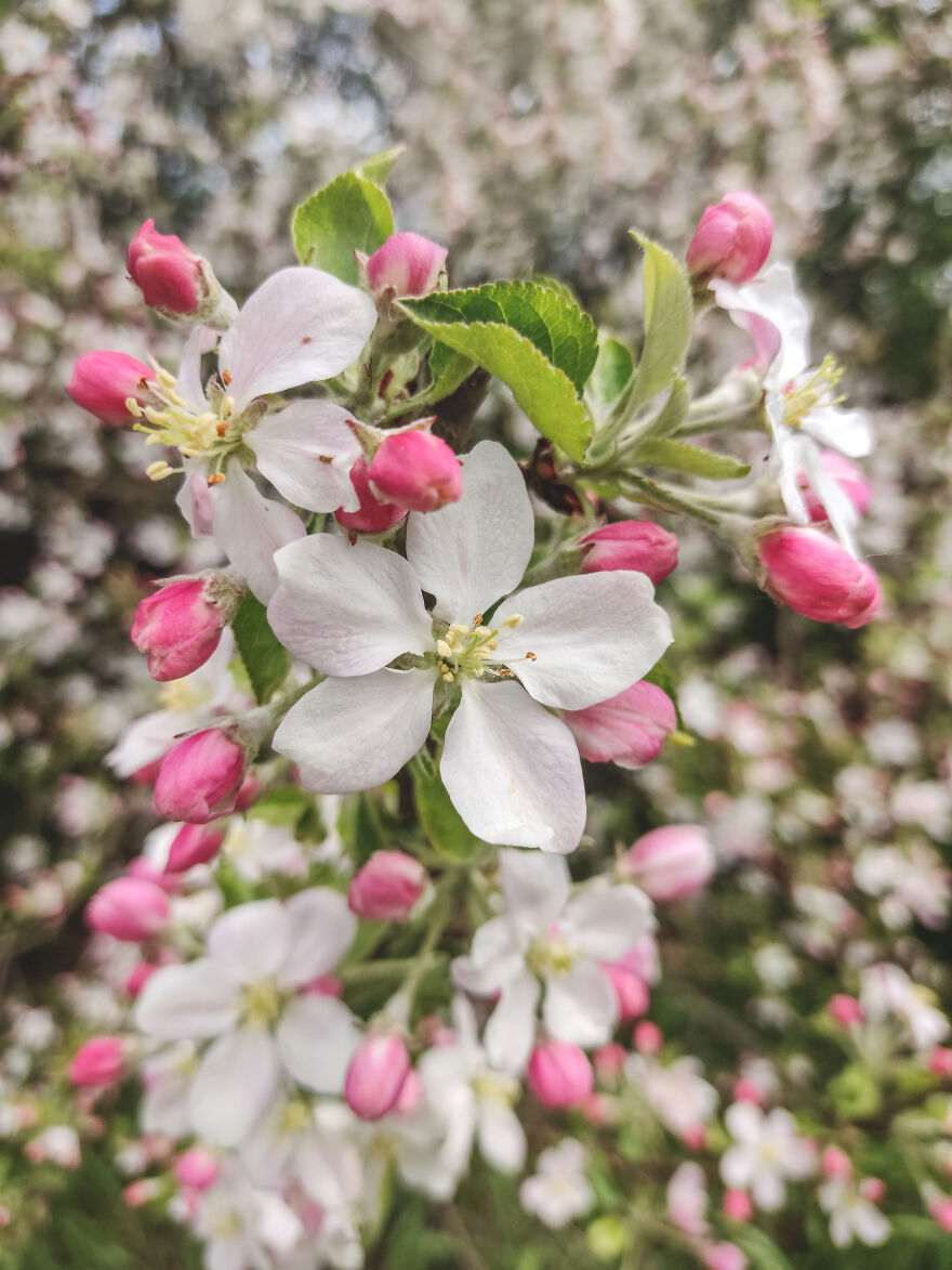 I Photographed This Ukrainian Village Because It Is My Solace That Inspires Me (30 pics) I Photographed This Ukrainian Village Because It Is My Solace That Inspires Me (30 pics)