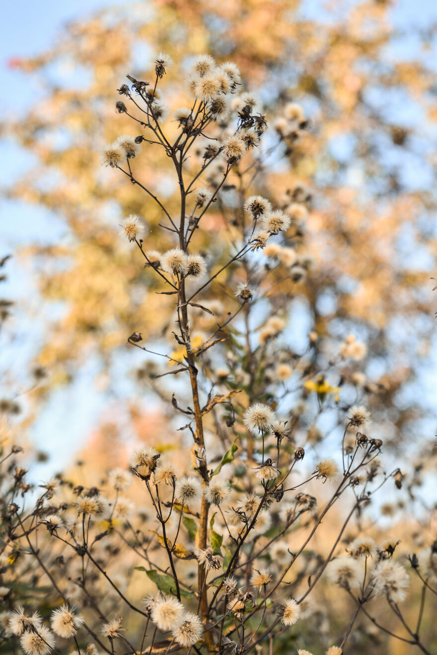I Photographed This Ukrainian Village Because It Is My Solace That Inspires Me (30 pics) I Photographed This Ukrainian Village Because It Is My Solace That Inspires Me (30 pics)