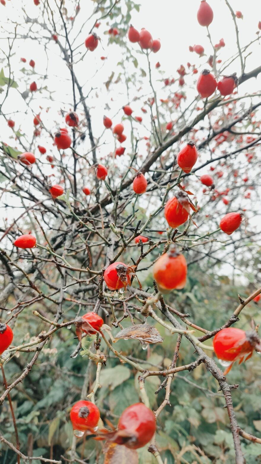 I Photographed This Ukrainian Village Because It Is My Solace That Inspires Me (30 pics) I Photographed This Ukrainian Village Because It Is My Solace That Inspires Me (30 pics)