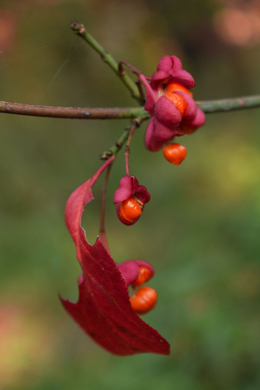 I Photographed This Ukrainian Village Because It Is My Solace That Inspires Me (30 pics) I Photographed This Ukrainian Village Because It Is My Solace That Inspires Me (30 pics)