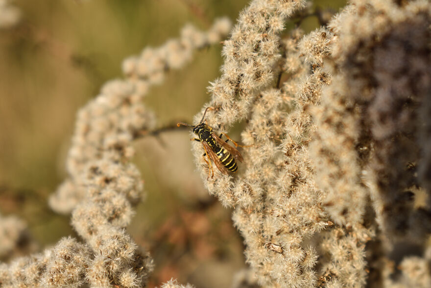 I Photographed This Ukrainian Village Because It Is My Solace That Inspires Me (30 pics) I Photographed This Ukrainian Village Because It Is My Solace That Inspires Me (30 pics)