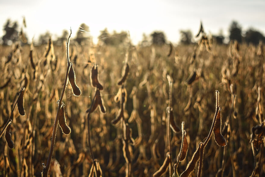 I Photographed This Ukrainian Village Because It Is My Solace That Inspires Me (30 pics) I Photographed This Ukrainian Village Because It Is My Solace That Inspires Me (30 pics)