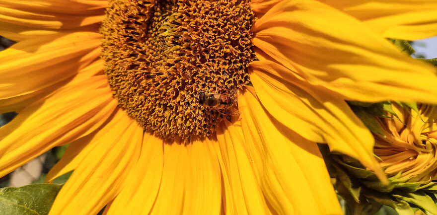 I Photographed This Ukrainian Village Because It Is My Solace That Inspires Me (30 pics) I Photographed This Ukrainian Village Because It Is My Solace That Inspires Me (30 pics)