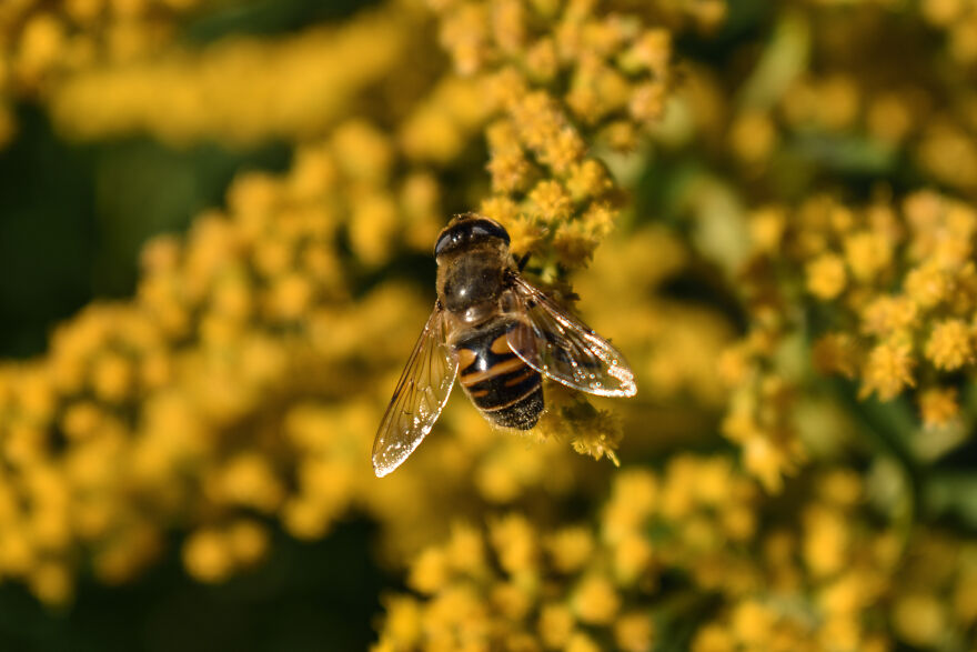 I Photographed This Ukrainian Village Because It Is My Solace That Inspires Me (30 pics) I Photographed This Ukrainian Village Because It Is My Solace That Inspires Me (30 pics)