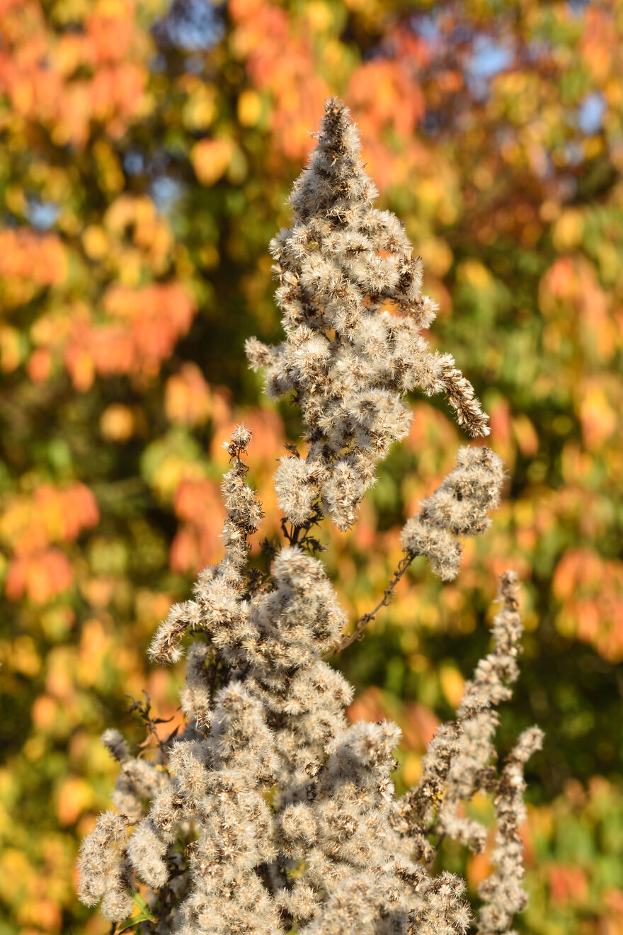 I Photographed This Ukrainian Village Because It Is My Solace That Inspires Me (30 pics) I Photographed This Ukrainian Village Because It Is My Solace That Inspires Me (30 pics)