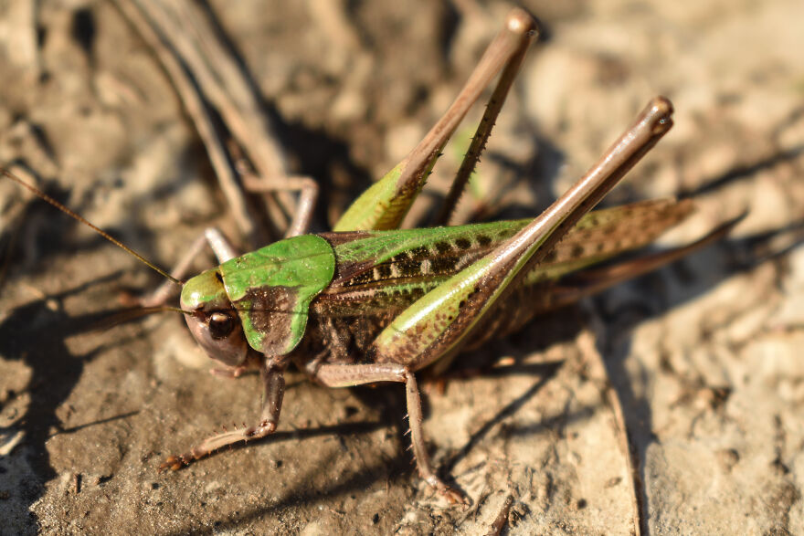 I Photographed This Ukrainian Village Because It Is My Solace That Inspires Me (30 pics) I Photographed This Ukrainian Village Because It Is My Solace That Inspires Me (30 pics)