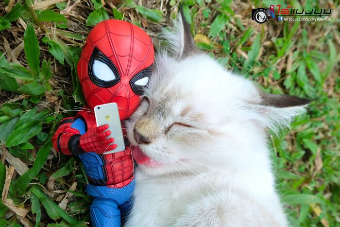 The Adventures Of Baby Spidey And His Cute Animal Pals: 30 New Photos By This Artist The Adventures Of Baby Spidey And His Cute Animal Pals: 30 New Photos By This Artist