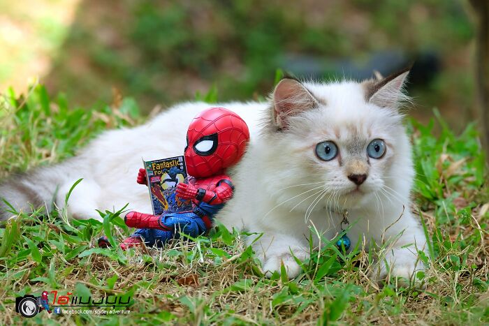 The Adventures Of Baby Spidey And His Cute Animal Pals: 30 New Photos By This Artist The Adventures Of Baby Spidey And His Cute Animal Pals: 30 New Photos By This Artist