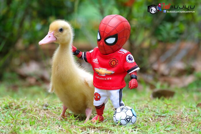 The Adventures Of Baby Spidey And His Cute Animal Pals: 30 New Photos By This Artist The Adventures Of Baby Spidey And His Cute Animal Pals: 30 New Photos By This Artist