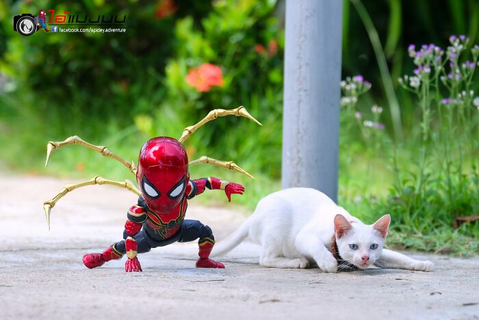 The Adventures Of Baby Spidey And His Cute Animal Pals: 30 New Photos By This Artist The Adventures Of Baby Spidey And His Cute Animal Pals: 30 New Photos By This Artist
