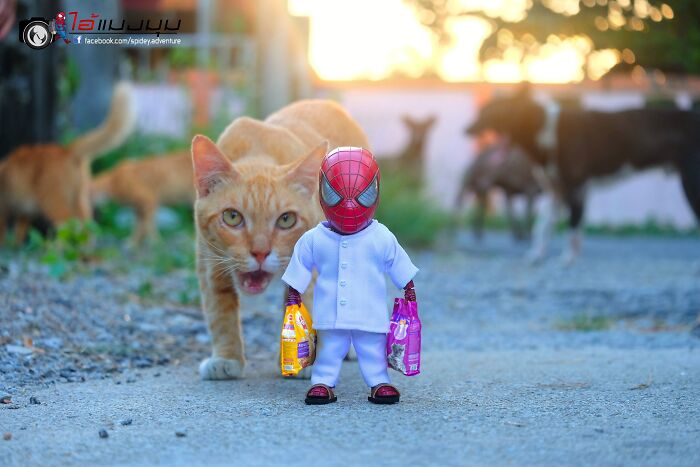 The Adventures Of Baby Spidey And His Cute Animal Pals: 30 New Photos By This Artist The Adventures Of Baby Spidey And His Cute Animal Pals: 30 New Photos By This Artist