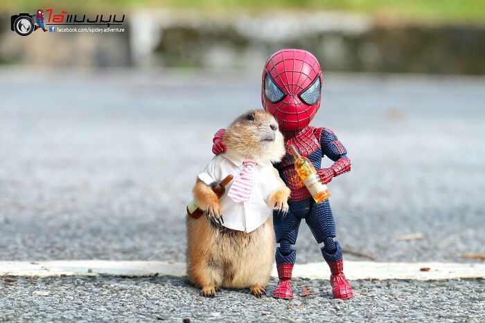 The Adventures Of Baby Spidey And His Cute Animal Pals: 30 New Photos By This Artist The Adventures Of Baby Spidey And His Cute Animal Pals: 30 New Photos By This Artist
