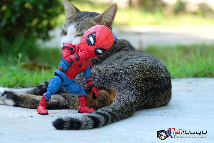 The Adventures Of Baby Spidey And His Cute Animal Pals: 30 New Photos By This Artist The Adventures Of Baby Spidey And His Cute Animal Pals: 30 New Photos By This Artist