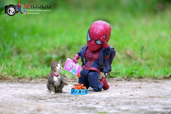 The Adventures Of Baby Spidey And His Cute Animal Pals: 30 New Photos By This Artist The Adventures Of Baby Spidey And His Cute Animal Pals: 30 New Photos By This Artist